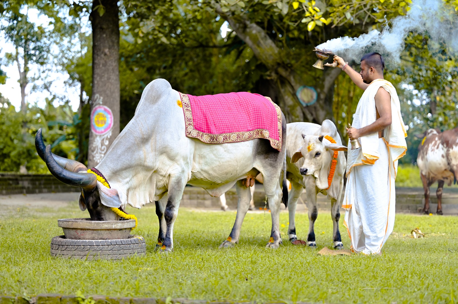Go-Puja worship ceremony