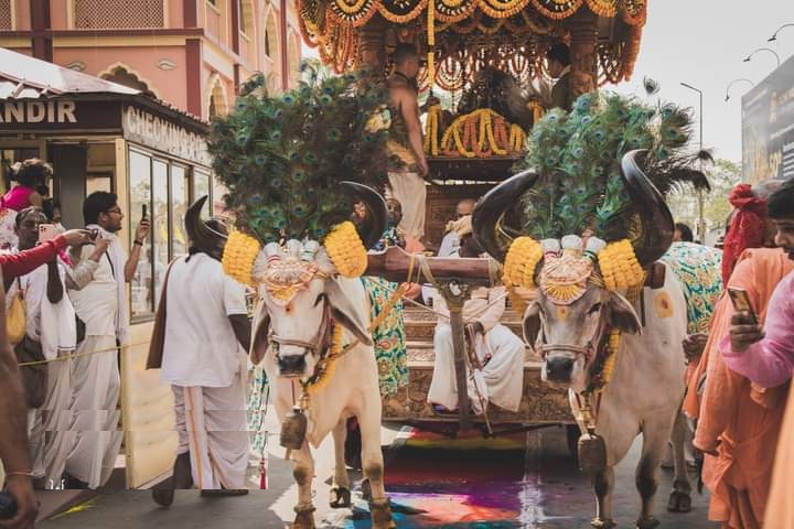 Bull power - Rishab-Urja