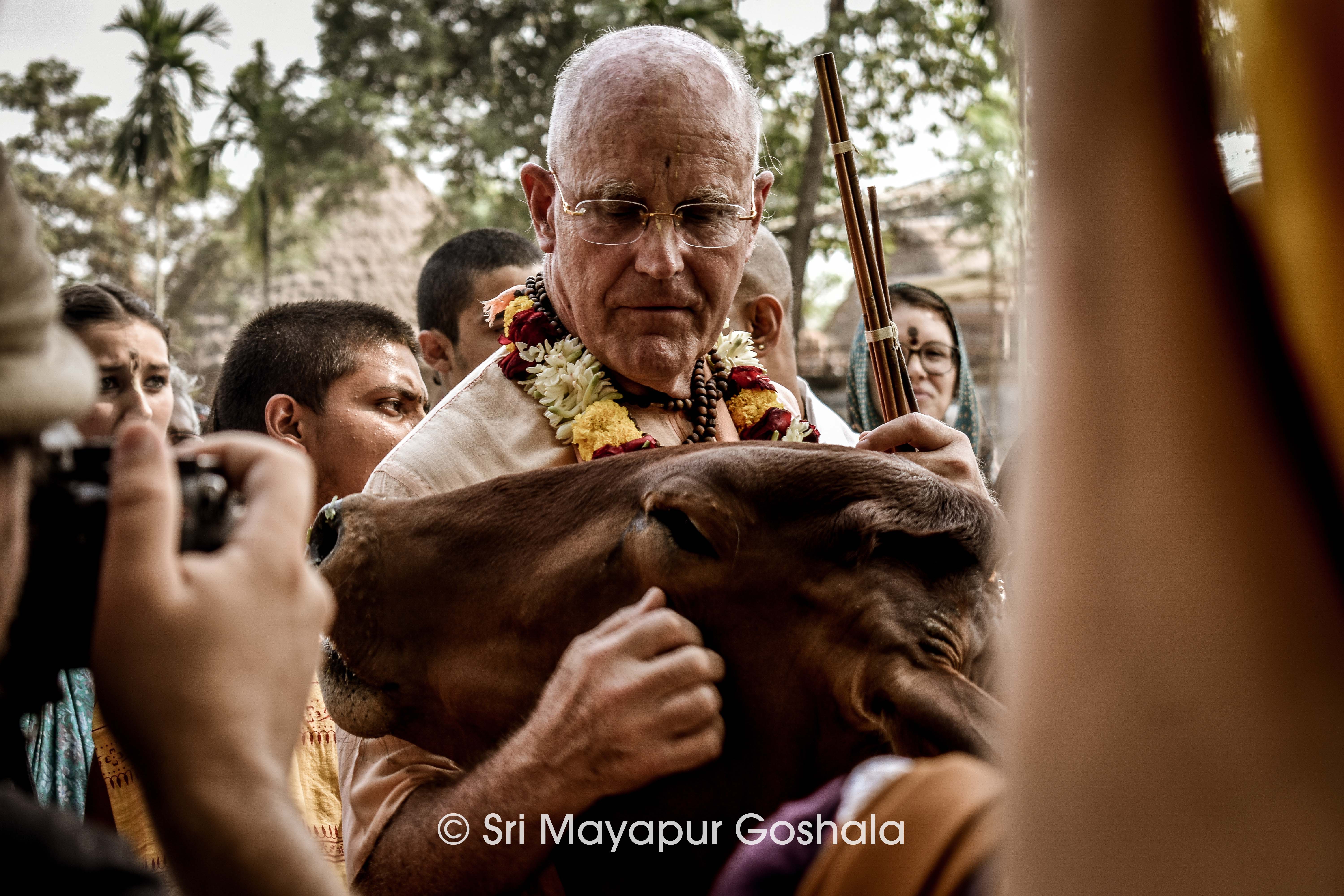 Sri Mayapur Goshala blog detail