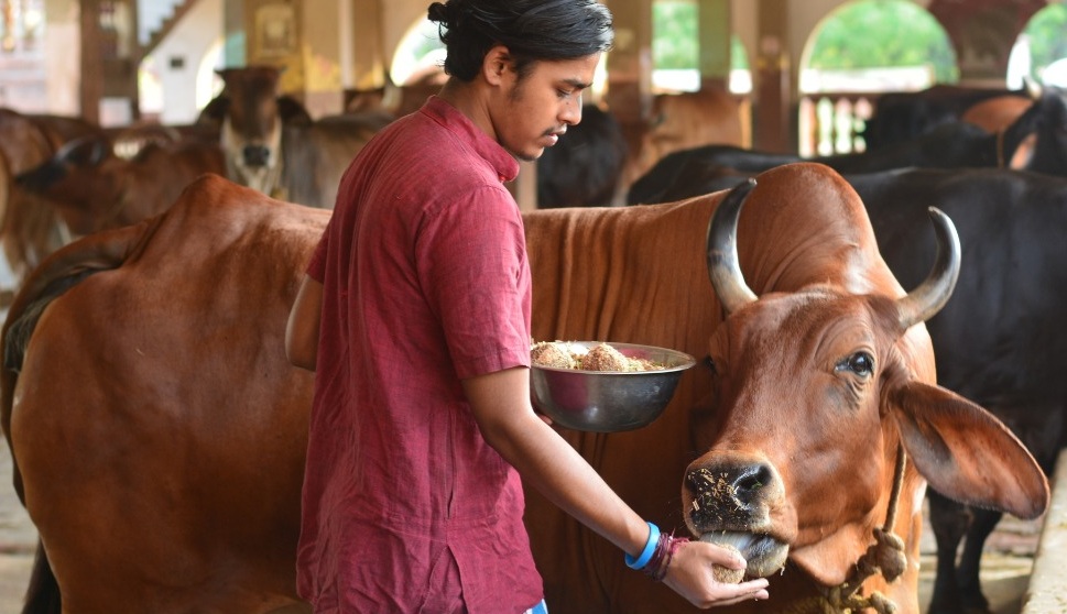Go-Gras feeding program